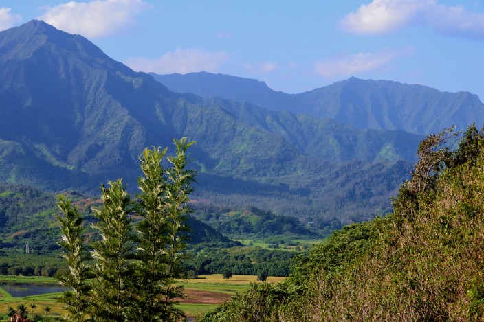 Along the road from Princeville to Hanalei